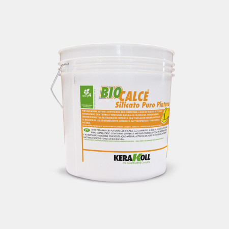 Biocalce Silicato Puro Pintura